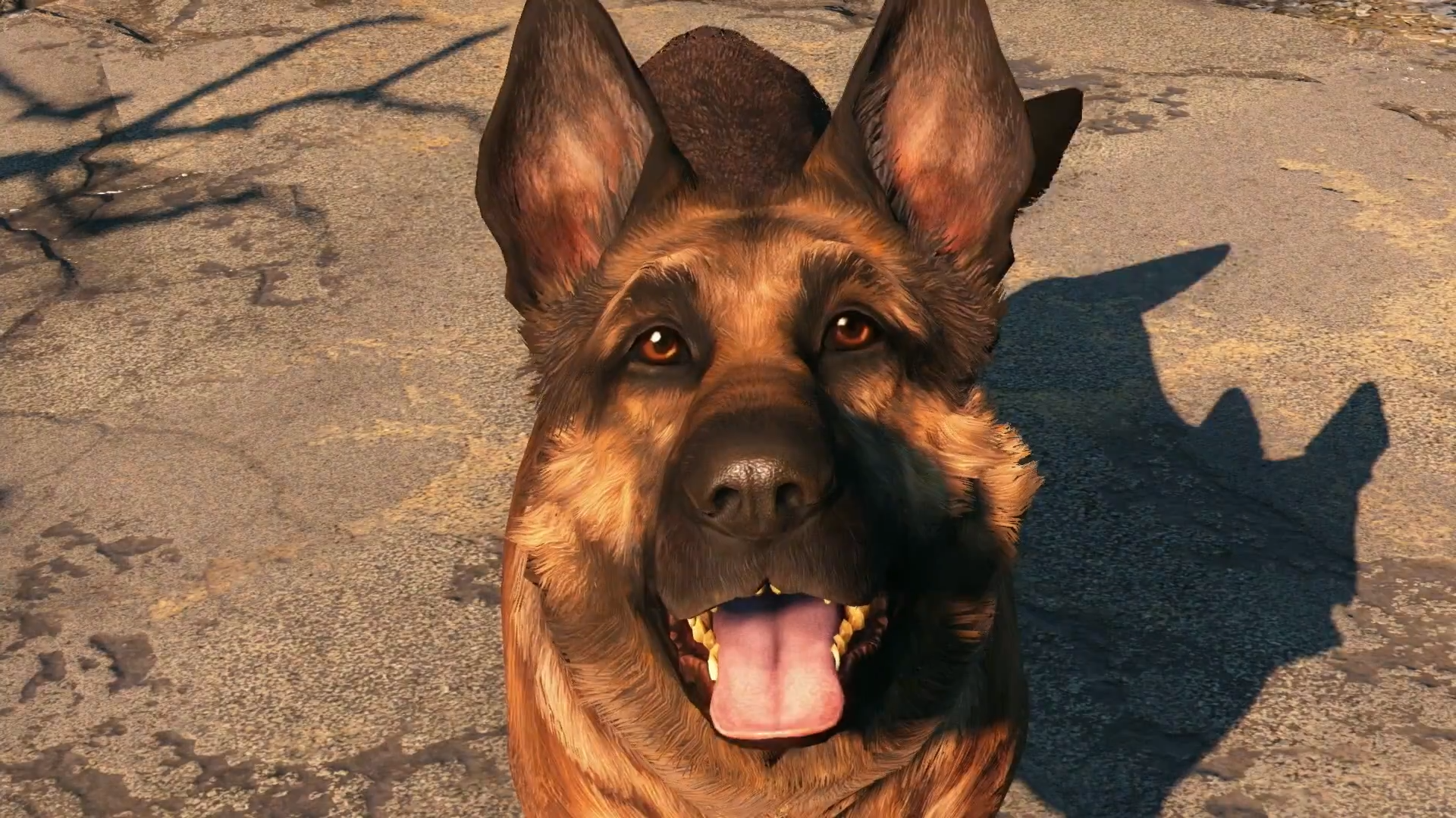 fallout-4-dogmeat