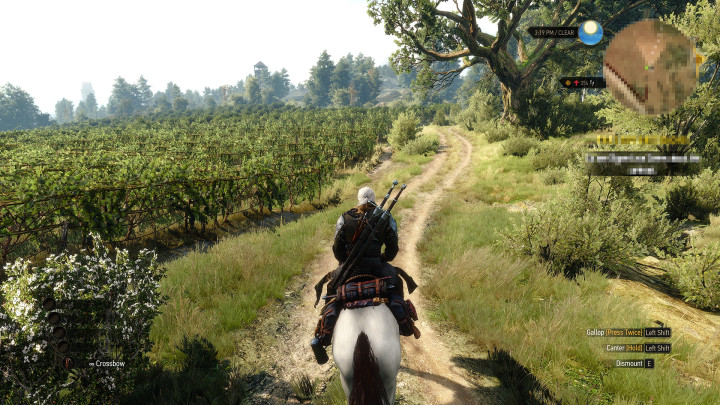 witcher 3 wild at heart glitched